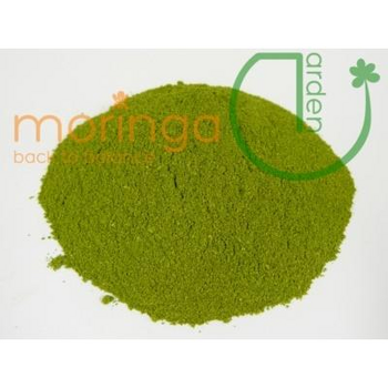 Moringa Pulver Premium 100g Dose