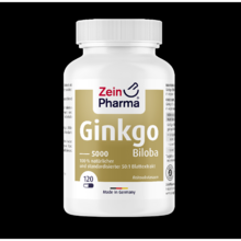 120 Ginkgo Biloba Kapseln 5000 mg