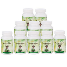 10 x 100 Bio Moringa Kapseln Premium à 325 mg