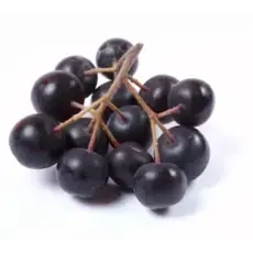 Bio Aronia Saft 1 Liter