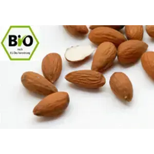 Bittere Aprikosenkerne Bio 1kg