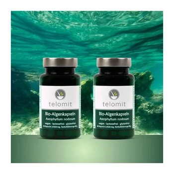 2 Stück Telomit® Bio-Algenkapseln  60 Stück BRAUNALGEN