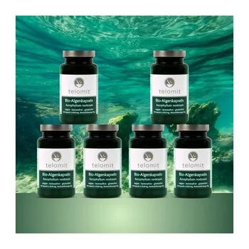 6  Stück Telomit® Bio-Algenkapseln  60 Stück BRAUNALGEN