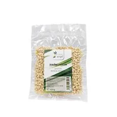 100g Zedernüsse geschält  vakuumverpackt - VITAL ENGEL